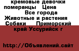 кремовые девочки померанцы › Цена ­ 30 000 - Все города Животные и растения » Собаки   . Приморский край,Уссурийск г.